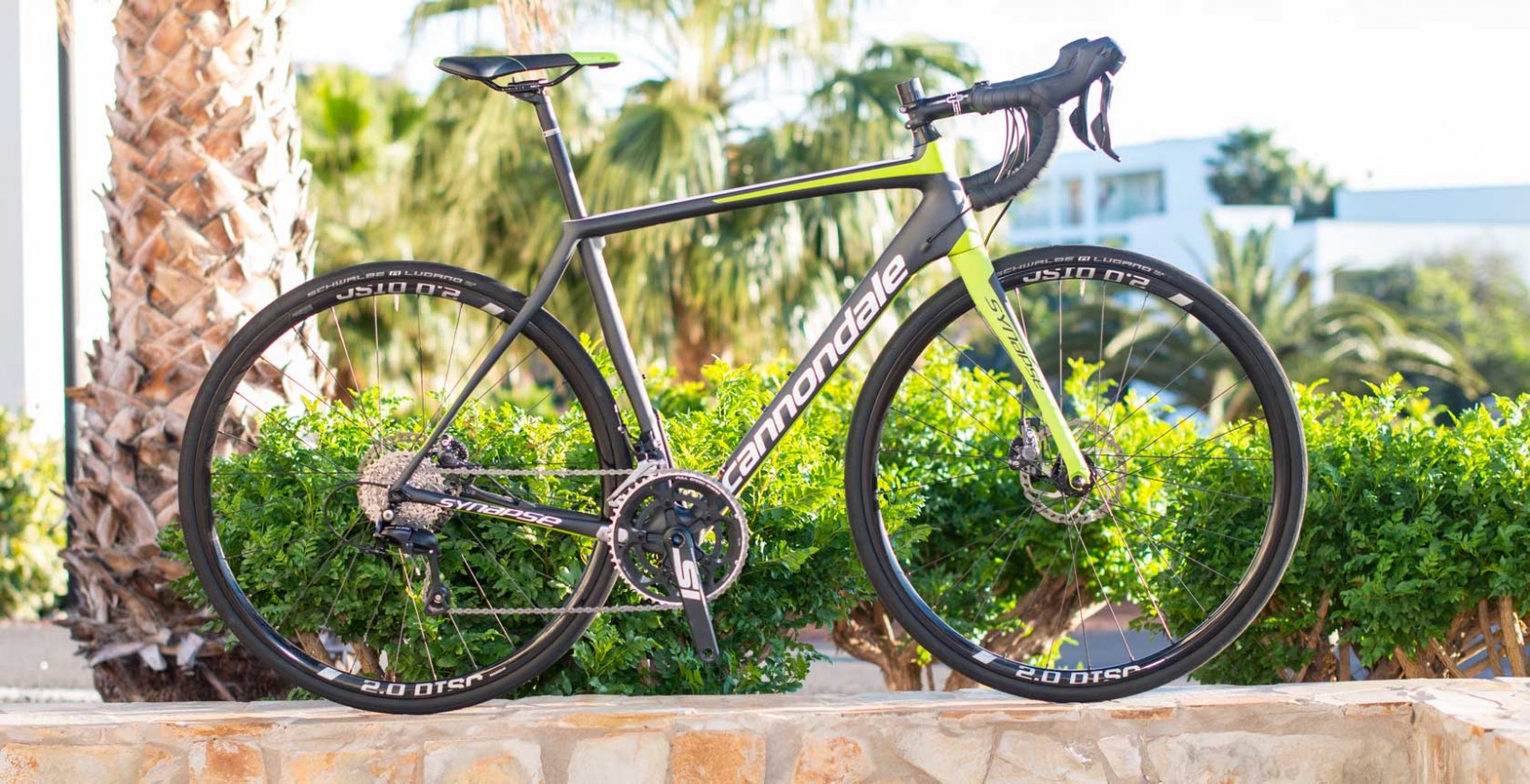 Cannondale-Synapse-Hel