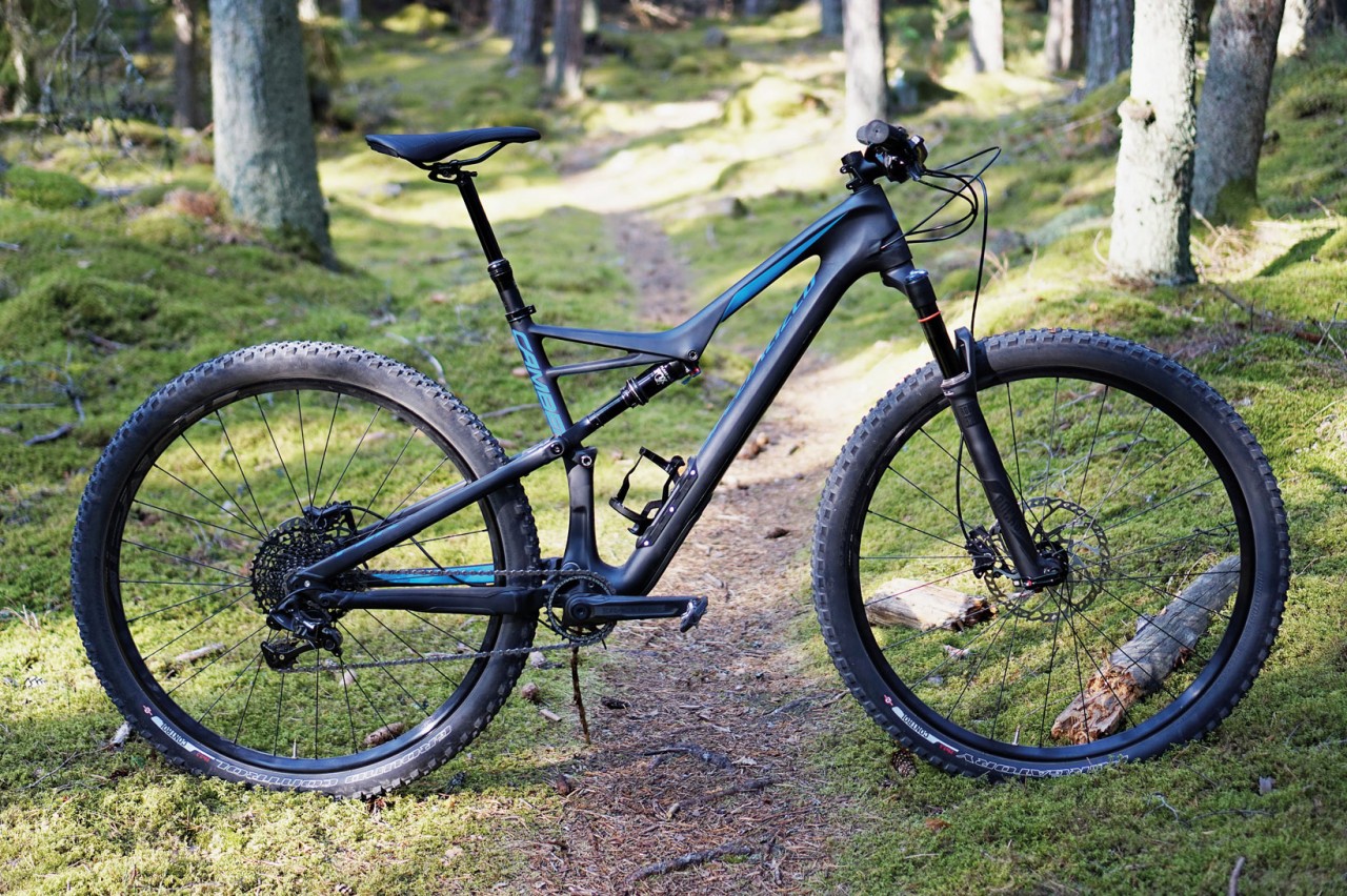 2019 specialized camber