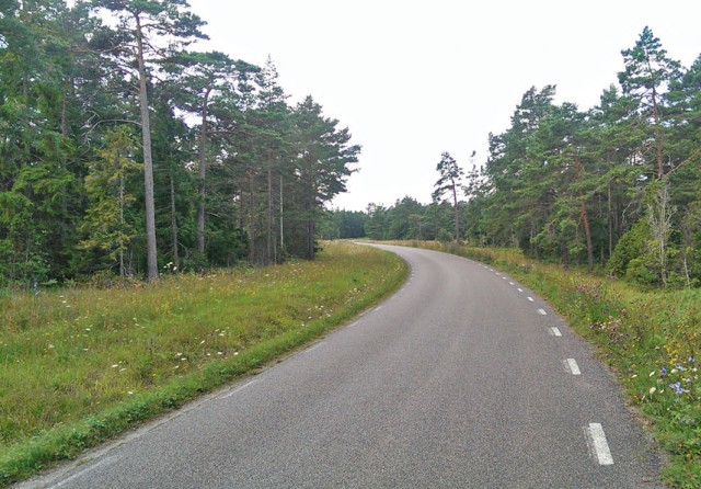 Sommarväg på Gotland för allt för länge sedan...